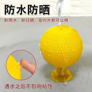 Ling Ling Buying Drosophila Trap Catering Indoor Household Armyworm Ball Catch Worm Artifact to Lure Flies Ball Flies