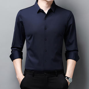 2024 Spring and Autumn New Mulberry Silk High-end Long-sleeved Shirt Men's Business Non-ironing Anti-wrinkle Trendy Stretch Shirt