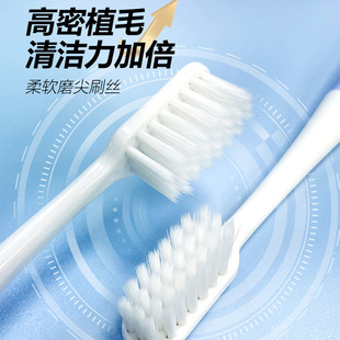 DouJiaJie Toothbrush F936 Soft Hair Gingival Protection Cleaning Couple Household 1 Independent Pack for Women and Students