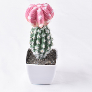 Artificial mini succulent cactus indoor cactus ball bonsai artificial plant artificial flower pot wholesale