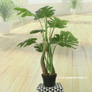 Simulation of Four-Pole Bamboo Tortoise for Hotel Decoration Simulation Plant Nordic Style Simulation of Bamboo Tortoise for Soft Decoration Engineering