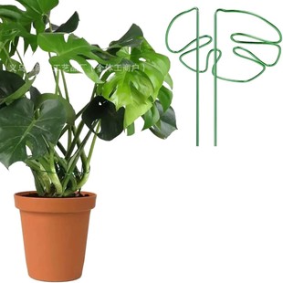 Cross-border new plant support, Bambusa plant support rack, flower pot support rack decorative unique rack