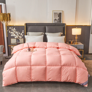 High-end star hotel feather velvet quilt core spring and autumn quilt warm thick winter quilt activity gift quilt wholesale generation