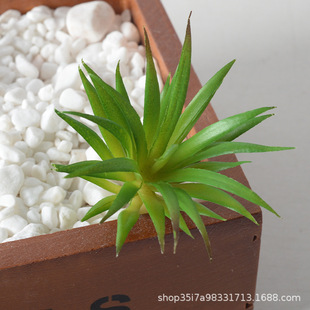 Simulation succulent plant green plant decoration mini small sword grass decoration combination succulent potted bonsai led grass wholesale