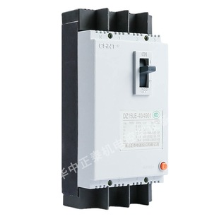 Chint LEAkAge Protector DZ15le-40/4901 40A PlAstic Shell Surplus Current Action Circuit BreAker