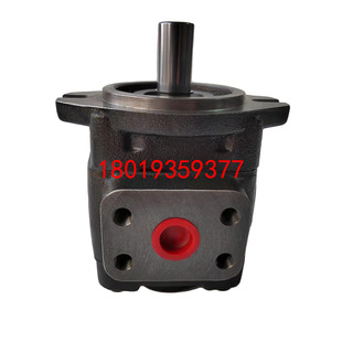 Шестеренчатый насос высокого давления IPM2-8 10 13 16 20RPF марки Odade OKDO