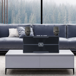 YS201 wireless Bluetooth KTV small audio rock bass small gun speaker dual microphone integrated family suit