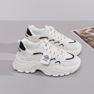 Ins Trendy Korean Style New Torre Shoes Women's 2024 Autumn Student Sports Casual Shoes Mesh Breathable Height-increasing FB-03