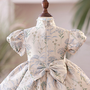 Chinese-style Girls' One-year-old Banquet Dress for Baby Girls 2024 Spring Children's Baby Grab Week Birthday Tang Dress Flower Girl National Tide