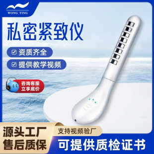 Private Repair Instrument Compact Postpartum Pelvic Floor Muscle Rehabilitation Training Instrument Household Portable Female Contraction Nursing Instrument