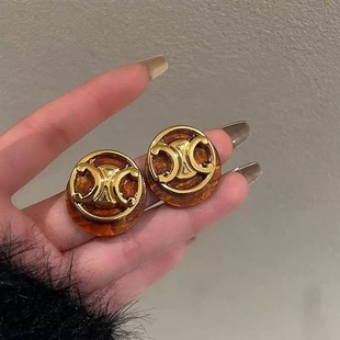 Silver Needle Hong Kong Style Retro High-end Maillard Color Earrings Women's Commuter Artistic Style Elegant Light Luxury Earrings
