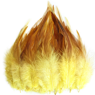 Amazon cross-border hot sale color feather cock pointed feather cock feather dream catcher net hat flower decoration handmade materials