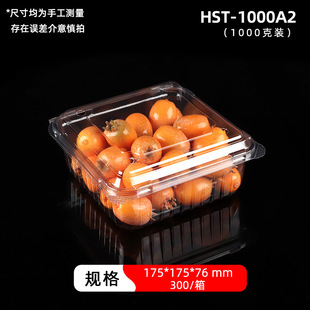 Disposable Fruit Packing Box with Lid Transparent Plastic Fruit Cutting Box Fresh Fruit and Vegetable Blueberry Packing Box Tray