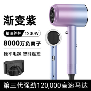 Internet Red Hammer Hair Dryer Multi-gear Temperature Adjustment Hair Salon Special High-power Blue Hair Care Hair Dryer Batch