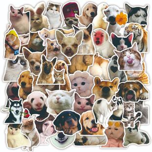 50 Zhang Meng pet small animal head Cute graffiti stickers refrigerator helmet skateboard computer DIY car stickers stickers