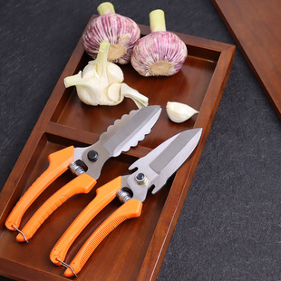Garlic scissors cutting garlic sprouts scissors cutting garlic and onion garlic head cutting garlic farmers cutting garlic root agricultural tools