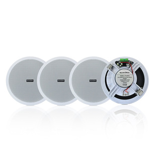 Source factory direct commercial home Bluetooth ceiling speaker active wireless ceiling whole house background music system