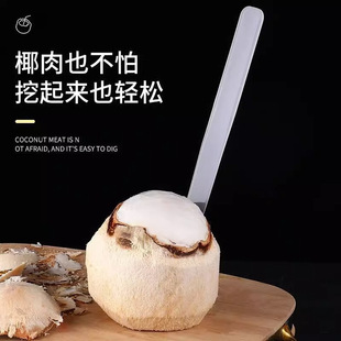 Кокосовый яичный мягкий нож Кокосовое мясо мягкий нож из нержавеющей стали Кокосовый открыватель кокосовый нож