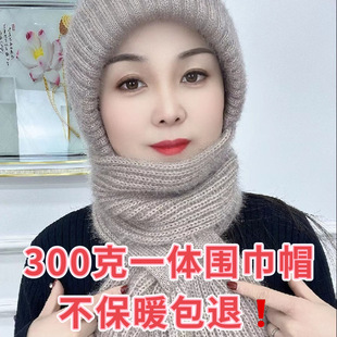 Winter warm squirrel velvet knitted women's snow hat integrated hat winter hat new winter hat wool hat