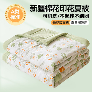 Class A Mother and Child Grade Soft Waxy Cloud Cotton Summer Quilt Air-conditioning Quilt Summer Single Double Xinjiang Cotton Summer Cool Quilt Wholesale