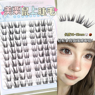 Korean Claw Cat American Chinchilla Upper Eyelash Segmented False Eyelash Chinese Fox Segmented Oblique Natural Eyelash