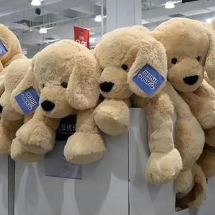 Sam's Same Style Dog Golden Plush Doll Plush Doll Girl Doll Sleeping Birthday Girl