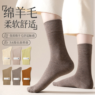 Soft glutinous warm cashmere socks women's mid-calf socks spring and autumn solid color thickened Korean style ins pile socks warm wool socks