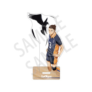 Volleyball Youth peripheral interlayer standing card daily Xiang Xiangyang Yinshan Feixiong black tail tielang and Chuan Che quicksand ticket