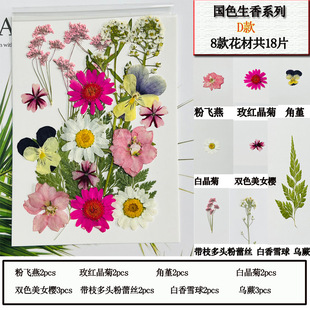 Little Red Riding Book Same Nepal Plant Handmade Materia Herb Paper Notebook High Color Value Photo Album Travel Handbook