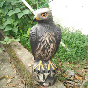 Cross-border Amazon plastic decorations outdoor pastoral moisture-proof waterproof bird scare mouse props simulation eagle model