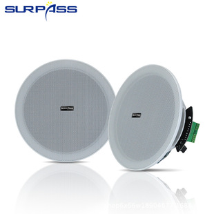 SURPASS source factory direct high quality full frequency speaker active wireless ceiling Bluetooth speaker Wireless