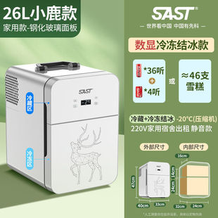 SAST Car Mini Mini Refrigerator Student Dormitory Rental Room Small Breast Milk Single Use Refrigerator Car Home Dual Use