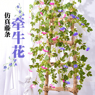 Artificial flower morning glory horn flower cane silk flower false flower ceiling air conditioning pipe shielding pipeline decoration gardening