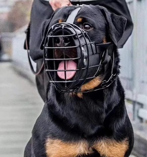 Stainless Steel Dupin Rottweiler Tactical Mouth Cage Forbidden to Bite Cowhide Metal Training Dog Impact Mouth Cage