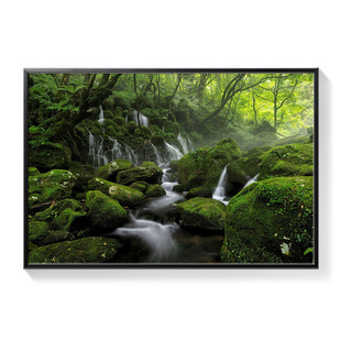 Forest Hanging Painting Modern Simple Forest Landscape Living Room Decorative Painting Nordic Ins Style Hotel Homestay Bedroom Mural Painting