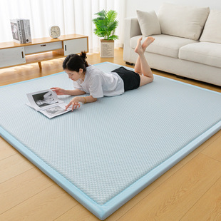 New Tatami Bean Mat Mattress Four Seasons Universal Soft Mat Nap Floor Spread Artifact for Children Climbing Mat