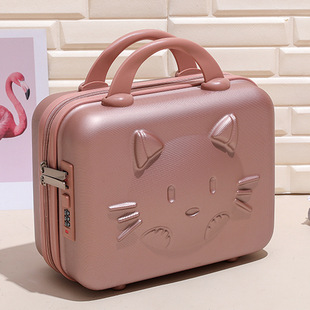 Hand luggage cartoon 14 inch cosmetic case with hand gift net red suitcase kitten mini password luggage wholesale