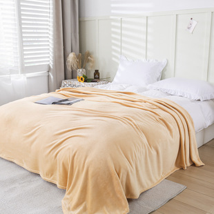 Small blanket winter coral blanket flannel single double bed sheet thickened female student dormitory quilt nap blanket