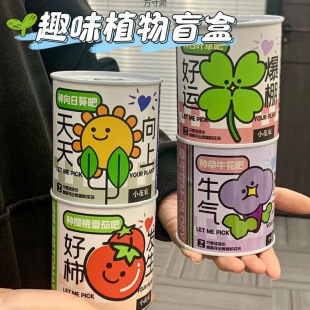 Office Green Plants, Small Potted Magical Plants, Indoor Mini Desktop, Kidsren's Planting Cans, Emotional Stability Wholesale