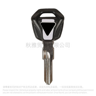 Applicable to British Triumph Motorcycle TRIUMPH675/T100/T900 Key Embryo Chip