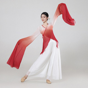 Maple Color Chinese Dance National Style Opera Water Sleeve Lace Water Sleeve Gauze Practice Dress Top Dance Dress Practice Dress Table