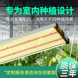 Full spectrum led grow light quantum plate greenhouse planting light fleshy flower fill light Plant Growth light