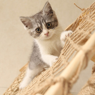 New cat climbing frame solid wood cat scratch board nest integrated solid wood wear-resistant crumbs hammock pet supplies factory direct supply