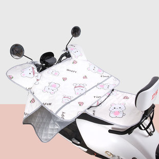Wind shield electric car summer sun shield battery car wind shield summer thin rain shield four seasons universal