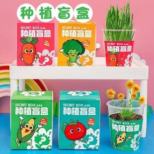 Creative Value Mini Potted Plant Blind Box Small Potted Plant School Opening Gift Student Prizes Kindergarten Observation Plant Toys