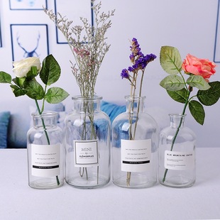 Nordic Small Brown Bottle ins Style Home Living Room Decorative Vase Ornaments Transparent Hydroponic Glass Vase