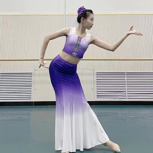 Fengcai Dai Dance Dance Art Testing Clothing Middle Performance Fids Puclear Dance Fish