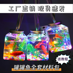 Internet celebrity can fish stall luminous crystal wholesale bubble fish bottle water grass colored stone light material package night market hot sale