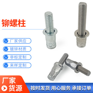 Carbon steel riveting stud iron galvanized column grain riveting bolt new energy vehicle battery box steel riveting stud