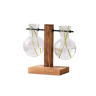 Cross-border Creative Hydroponic Wooden Vase Modern Simple Living Room Decorative Transparent Ornaments Desktop Water Raising Green Flower Vase